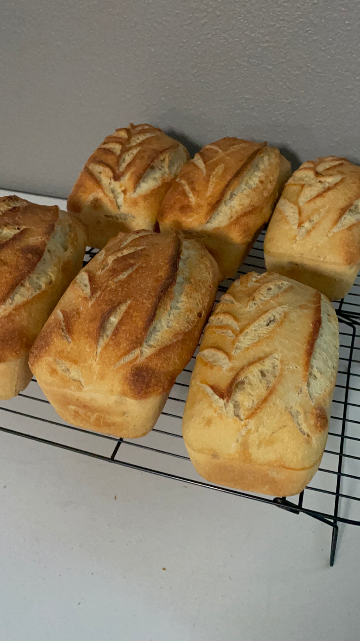 Sourdough Sandwich Loaves